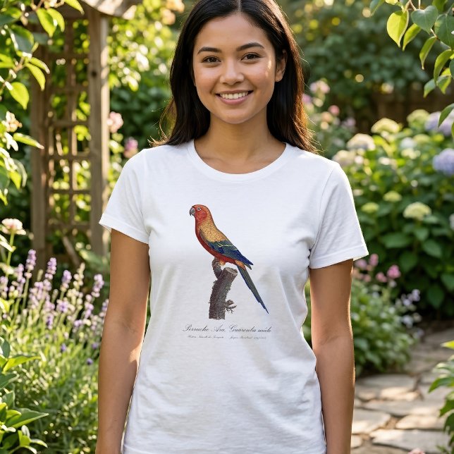 Camiseta Perico Sol, Aratinga Solstitialis (Sun Parakeet Male, Aratinga Solstitialis. Women Basic White T-Shirt )