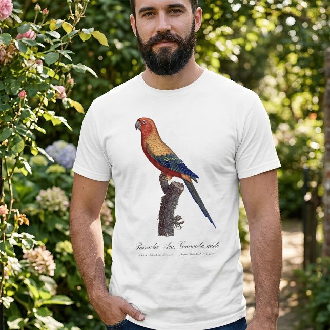 Camiseta Perico Sol, Aratinga Solstitialis (Sun Parakeet Male, Aratinga Solstitialis. Men Basic White T-Shirt )