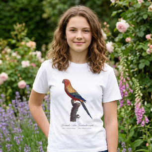 Camiseta Perico Sol, Aratinga Solstitialis