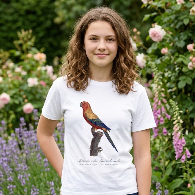 Camiseta Perico Sol, Aratinga Solstitialis (Sun Parakeet Male, Aratinga Solstitialis. Girl Basic White T-Shirt )