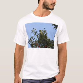 Camiseta Periquito verde