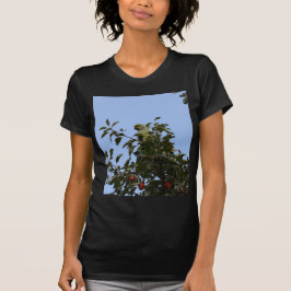 Camiseta Periquito verde