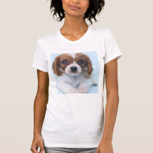 Camiseta Perrito arrogante del perro de aguas de rey