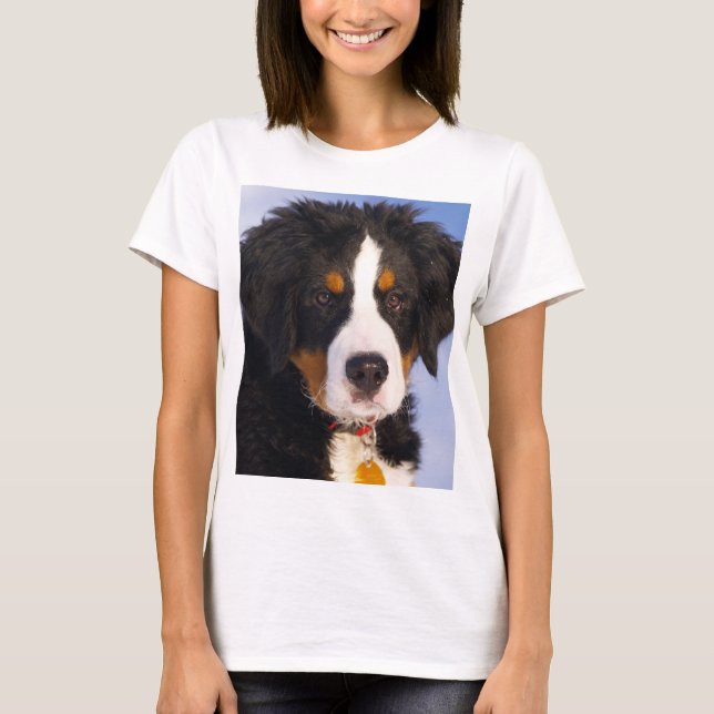Camiseta perrito bernese-mountain-dog-rust (Anverso)