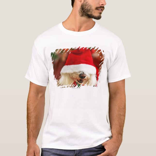 Camiseta Perrito de Bichon Frise que lleva el traje de (Anverso)