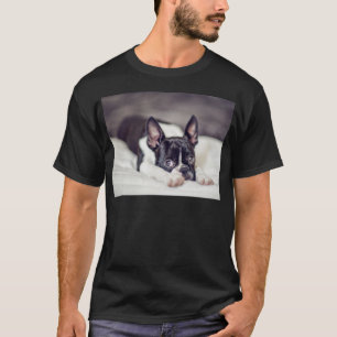 Camiseta Perrito de Boston Terrier