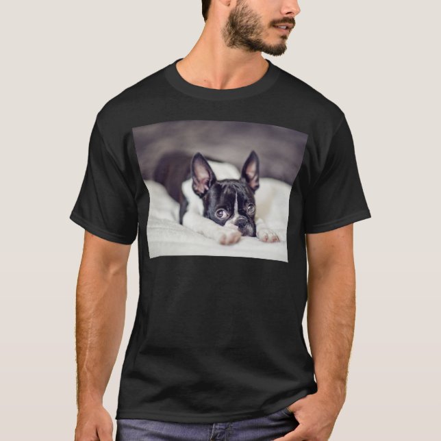 Camiseta Perrito de Boston Terrier (Anverso)