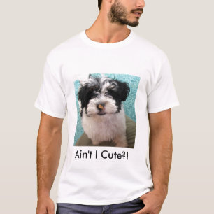Camiseta Perrito de Havanese