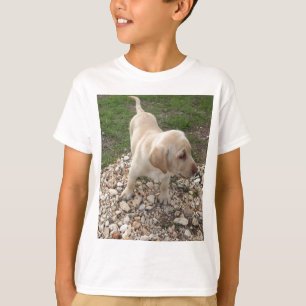 Camiseta Perrito de oro de Labrador