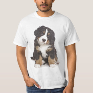 Camiseta Perrito de St Bernard