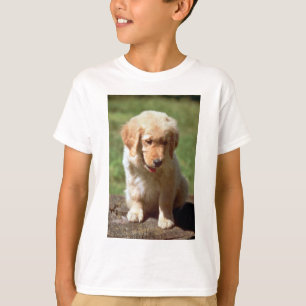 Camiseta Perrito del golden retriever