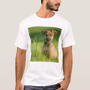 Camiseta Perrito en la hierba