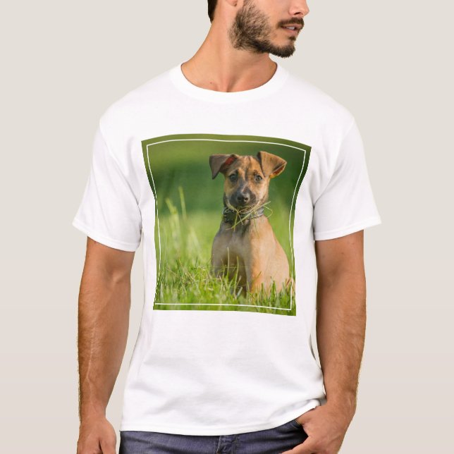 Camiseta Perrito en la hierba (Anverso)