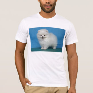 Camiseta perrito pomeranian