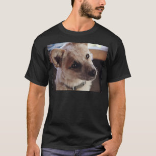 Camiseta Perrito Ringo de Queensland Heeler