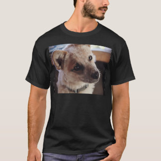 Camiseta Perrito Ringo de Queensland Heeler