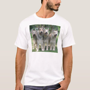 Camiseta Perritos de Berger Picard
