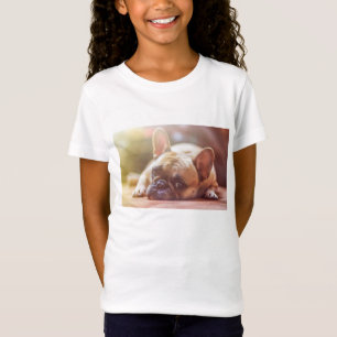 Camiseta perro