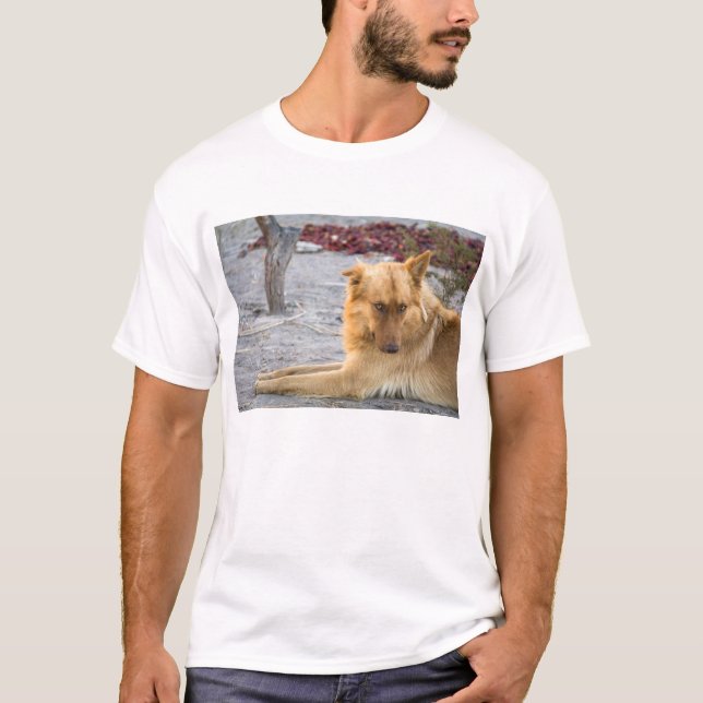Camiseta Perro abandonado (Anverso)