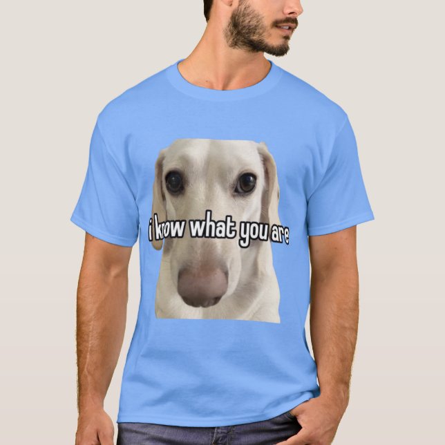 Camiseta perro aliado retro (Anverso)