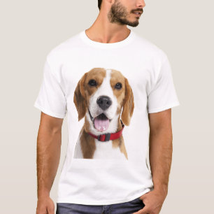 Camiseta Perro Beagle con Collar Rojo