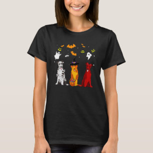 Camiseta Perro Border Collie