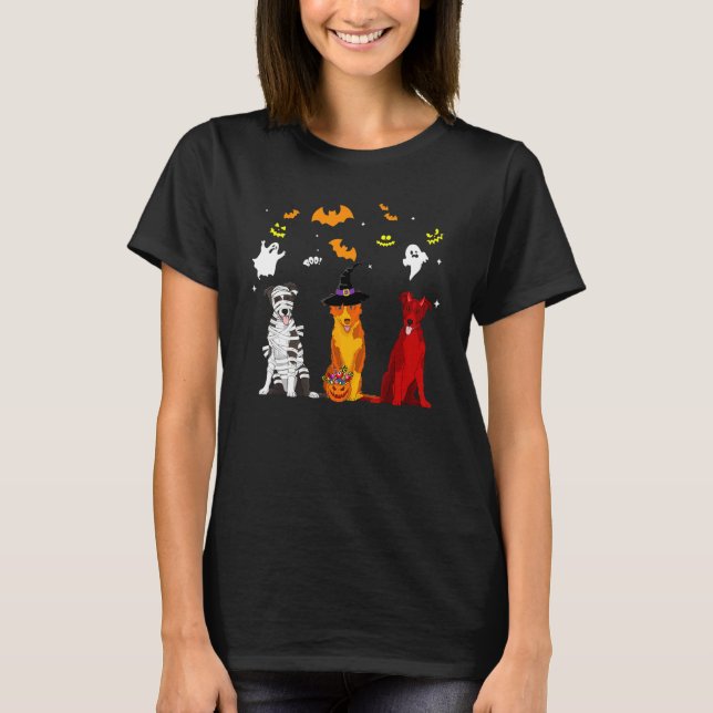 Camiseta Perro Border Collie (Anverso)