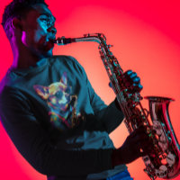 Perro Chihuahua jugando saxofón