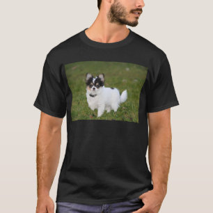 Camiseta perro Chihuahua parado en un césped verde