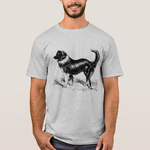 Camiseta Perro Collie de la frontera masculina