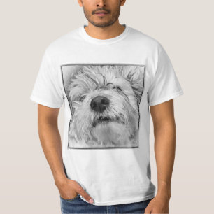 Camiseta Perro Coton de Tulear