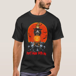 Camiseta Perro Dachshund Sausage Con Lámpara De Calabaza