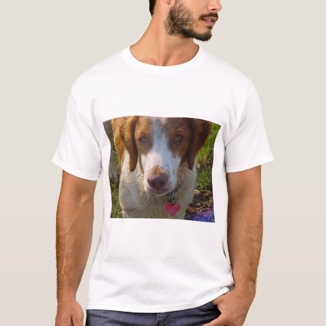 Camiseta Perro de aguas de Bretaña (Anverso)