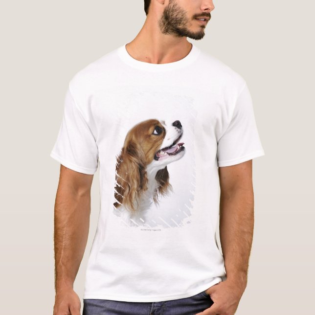 Camiseta Perro de aguas de rey Charles arrogante (Anverso)
