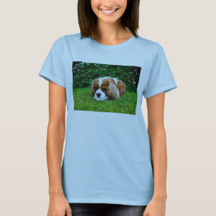Camiseta Perro de aguas de rey Charles arrogante Blenheim