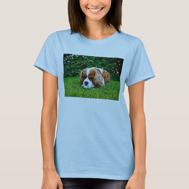 Camiseta Perro de aguas de rey Charles arrogante Blenheim (Anverso)