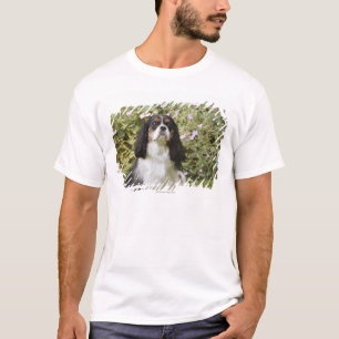 Camiseta Perro de aguas de rey Charles arrogante tricolor