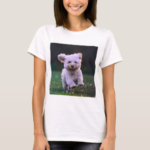 Camiseta Perro de cangrejo blanco