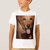 Perro de Golden Retriever #5
