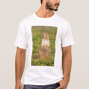 Camiseta Perro de la pradera de cola negra Cynomys