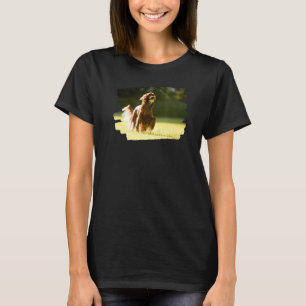 Camiseta Perro de la Red Setter Irlandés