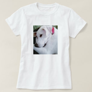 Camiseta Perro de mezcla de laboratorio blanco