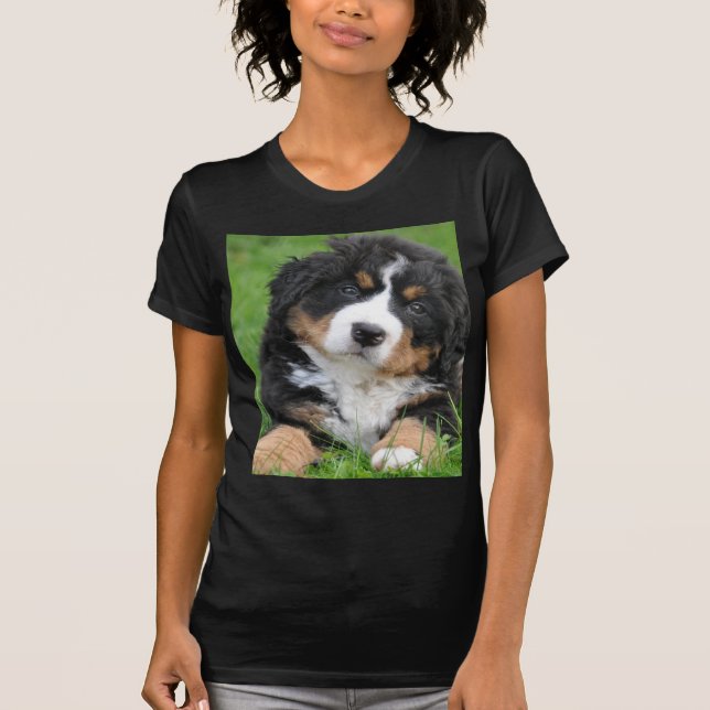 Camiseta Perro de montaña de Bernese (Anverso)