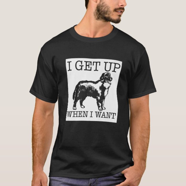 Camiseta Perro de montaña de Bernese (Anverso)