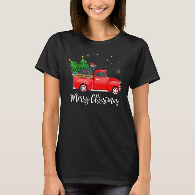 Camiseta Perro de Navidad de Camión Rojo de Terranova Navid (Anverso)