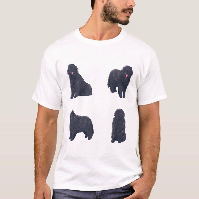 Camiseta Perro de Newfoundland Magic (Anverso)