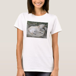 Camiseta Perro descansando en una roca