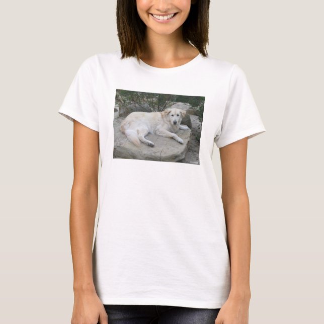 Camiseta Perro descansando en una roca (Anverso)