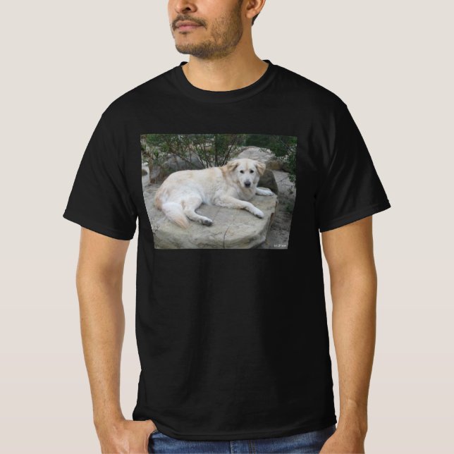Camiseta Perro descansando en una roca (Anverso)