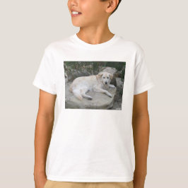 Camiseta Perro descansando sobre una roca